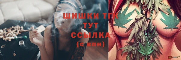 шишки Абаза