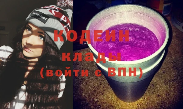 шишки Абаза