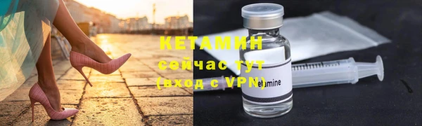 шишки Абаза