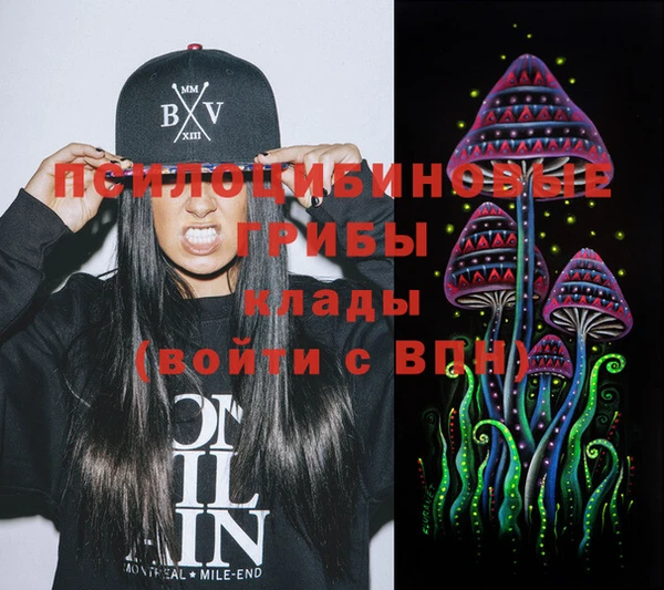 шишки Абаза