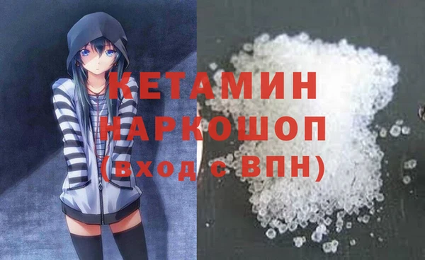 шишки Абаза