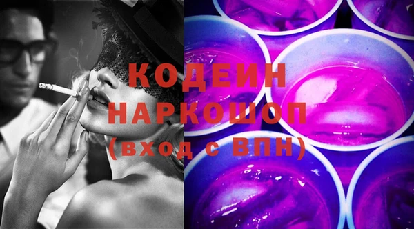 шишки Абаза