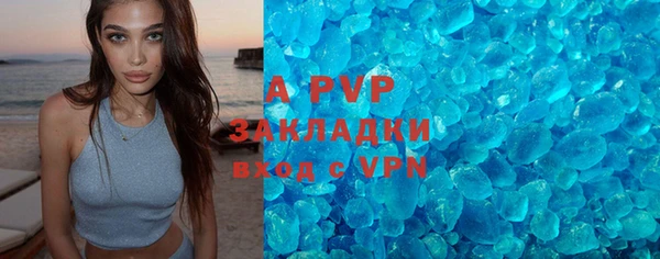 шишки Абаза