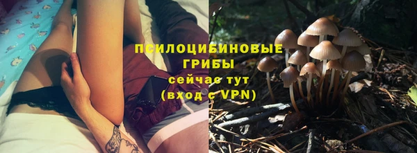спайс Абинск